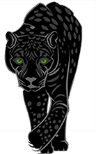 Jaguar Kitap